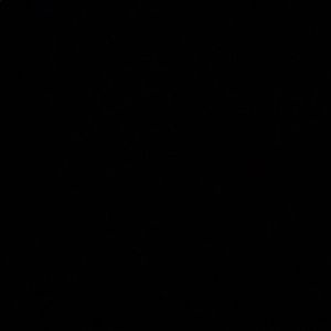 Meet your Posher, Bridgette